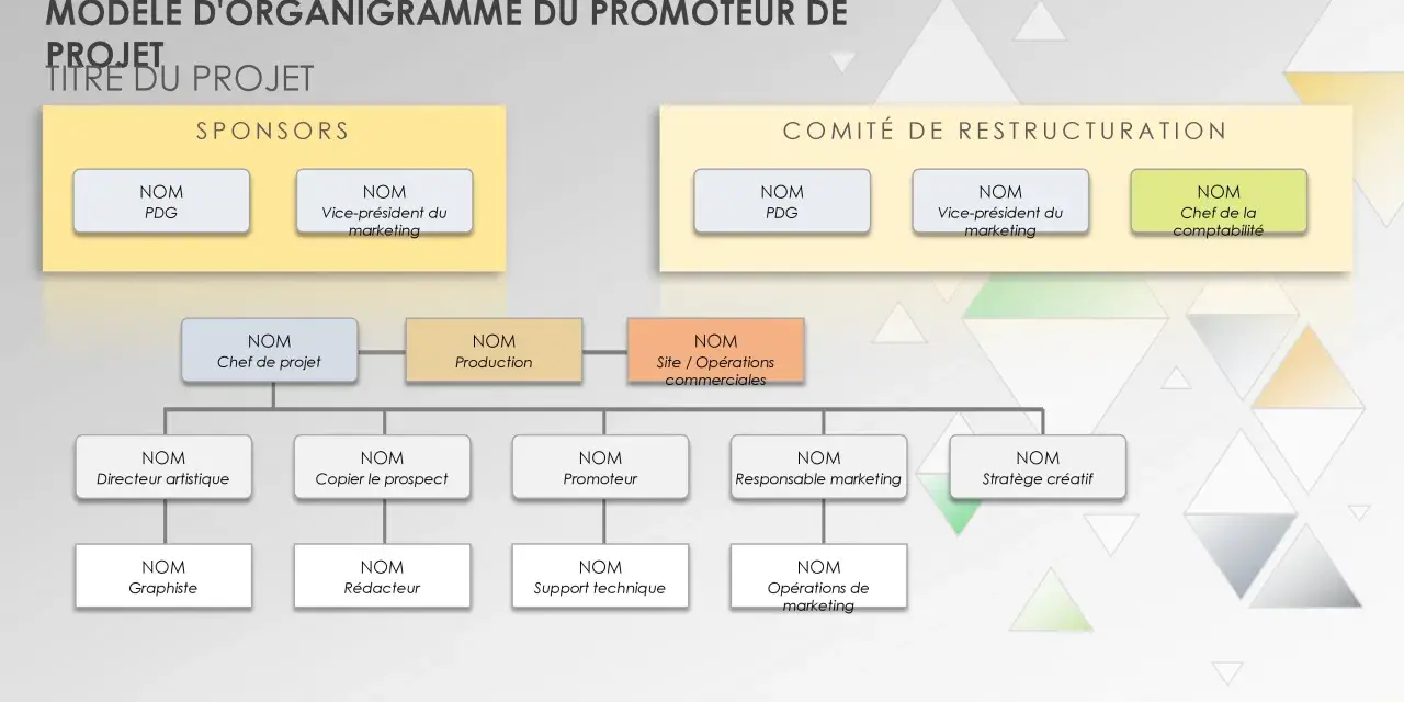 Organigramme du promoteur de projet, montrant les sponsors et le comité de restructuration, avec les rôles clés.