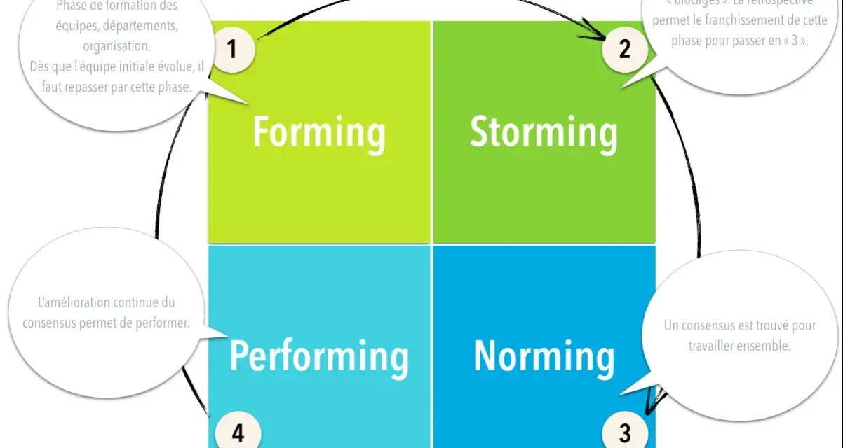 Le modèle de Tuckman illustre les 4 phases de développement d'une équipe : Forming, Storming, Norming, Performing.