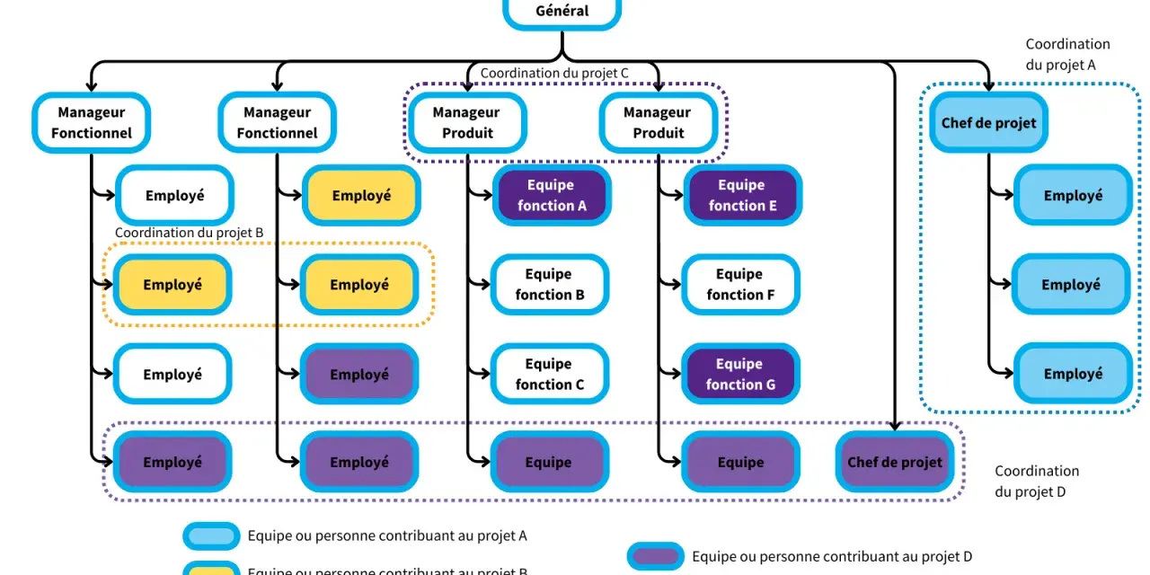Organigramme montrant une structure organisationnelle plate avec un directeur général, des managers fonctionnels et produit, et des équipes projet.