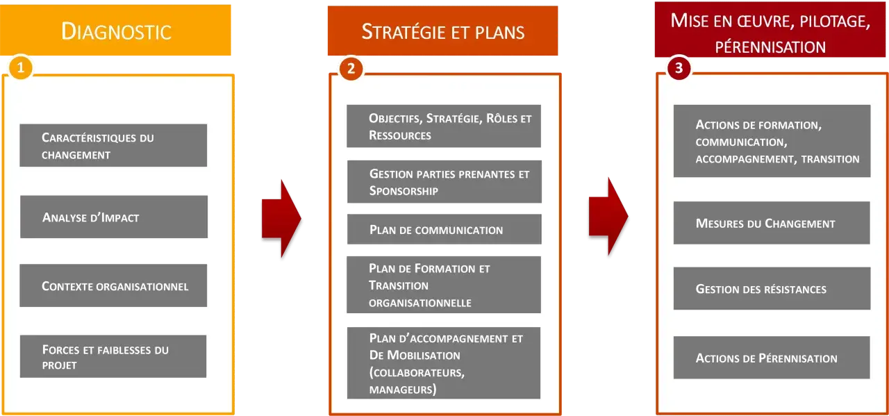 Schéma en 3 étapes : Diagnostic, Stratégie et Plans, Mise en œuvre. La gestion des résistances est clé pour le succès.