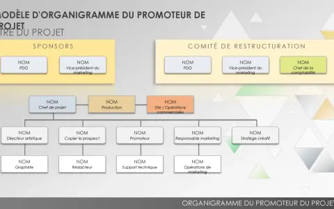 Organigramme du promoteur de projet, montrant les sponsors et le comité de restructuration, avec les rôles clés.