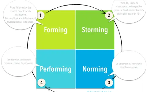 Le modèle de Tuckman illustre les 4 phases de développement d'une équipe : Forming, Storming, Norming, Performing.