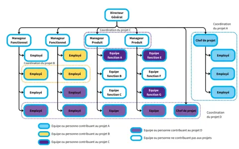 Organigramme montrant une structure organisationnelle plate avec un directeur général, des managers fonctionnels et produit, et des équipes projet.