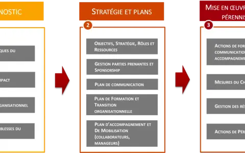 Schéma en 3 étapes : Diagnostic, Stratégie et Plans, Mise en œuvre. La gestion des résistances est clé pour le succès.