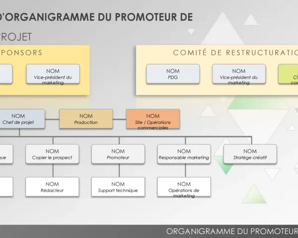Organigramme du promoteur de projet, montrant les sponsors et le comité de restructuration, avec les rôles clés.