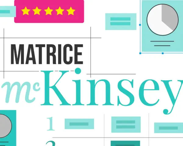 La matrice McKinsey, avec ses étoiles et ses graphiques, aide à analyser les stratégies d'entreprise.