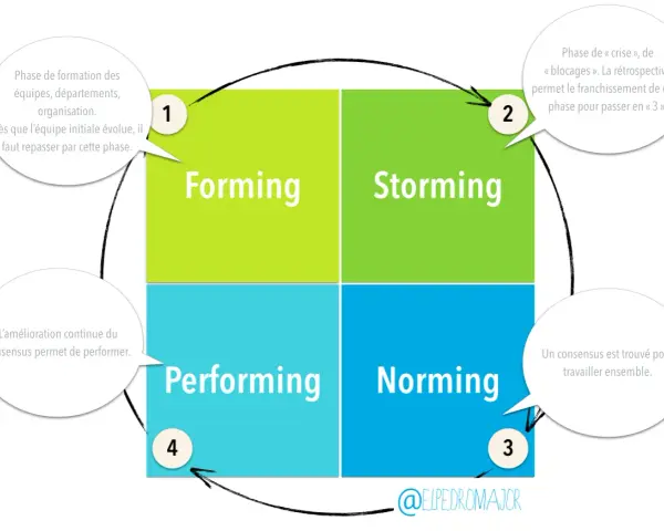 Le modèle de Tuckman illustre les 4 phases de développement d'une équipe : Forming, Storming, Norming, Performing.