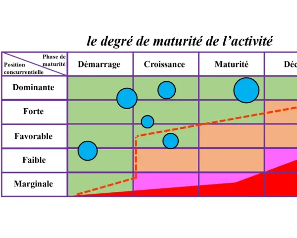 Matrice ADL : position concurrentielle vs phase de maturité. Des bulles bleues indiquent des activités dans différentes zones.