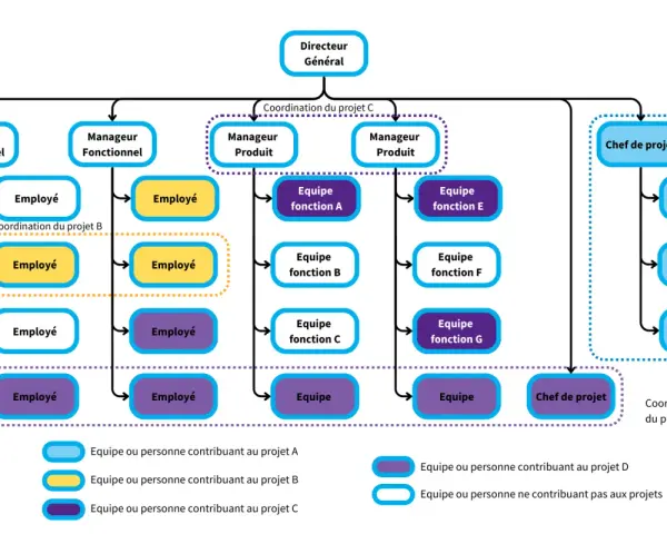 Organigramme montrant une structure organisationnelle plate avec un directeur général, des managers fonctionnels et produit, et des équipes projet.