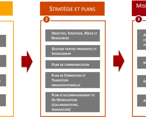 Schéma en 3 étapes : Diagnostic, Stratégie et Plans, Mise en œuvre. La gestion des résistances est clé pour le succès.
