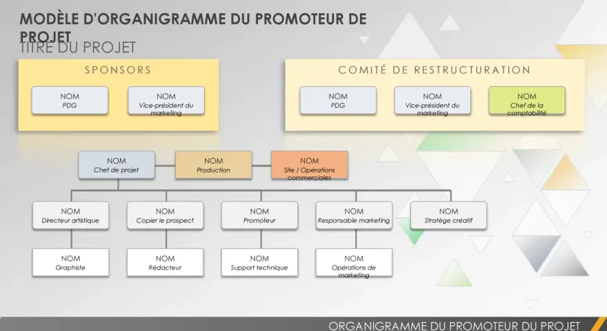 Organigramme du promoteur de projet, montrant les sponsors et le comité de restructuration, avec les rôles clés.
