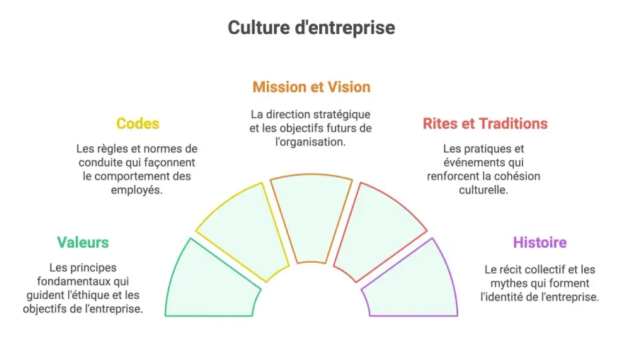 Schéma illustrant les composantes de la culture d'entreprise : valeurs, codes, mission, vision, rites, traditions et histoire. Un exemple concret de culture d'entreprise.