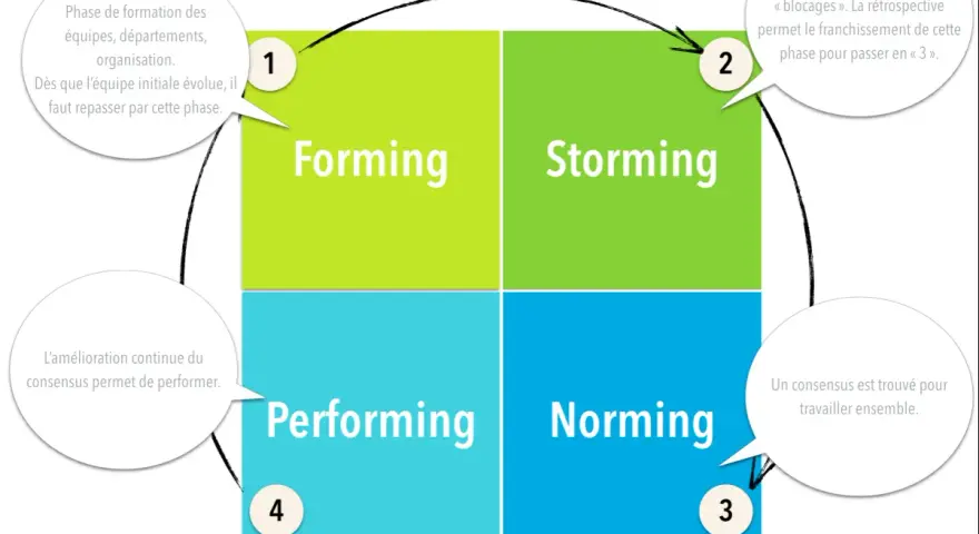 Le modèle de Tuckman illustre les 4 phases de développement d'une équipe : Forming, Storming, Norming, Performing.