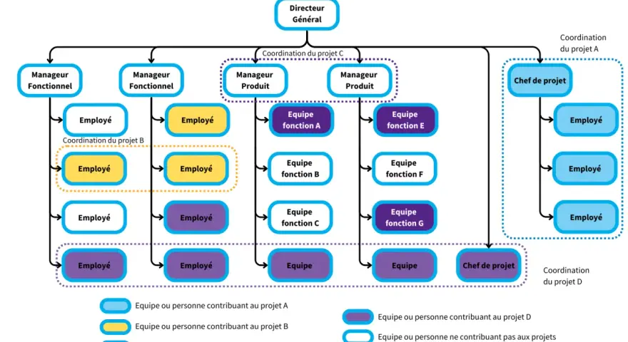 Organigramme montrant une structure organisationnelle plate avec un directeur général, des managers fonctionnels et produit, et des équipes projet.