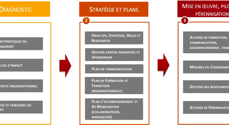 Schéma en 3 étapes : Diagnostic, Stratégie et Plans, Mise en œuvre. La gestion des résistances est clé pour le succès.