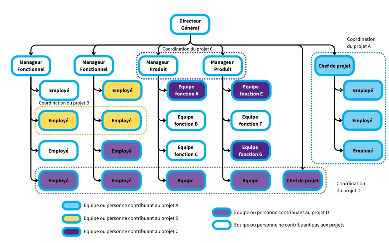 Organigramme montrant une structure organisationnelle plate avec un directeur g&eacute;n&eacute;ral, des managers fonctionnels et produit, et des &eacute;quipes projet.
